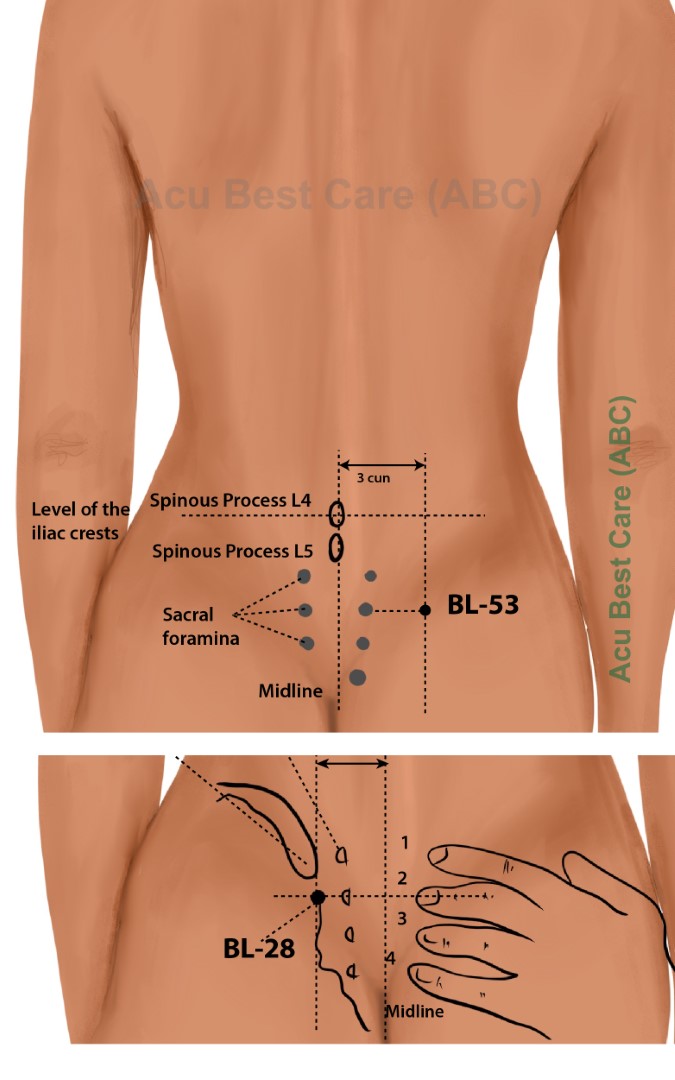 Acubestcare Meridian UB-53 or BL-53